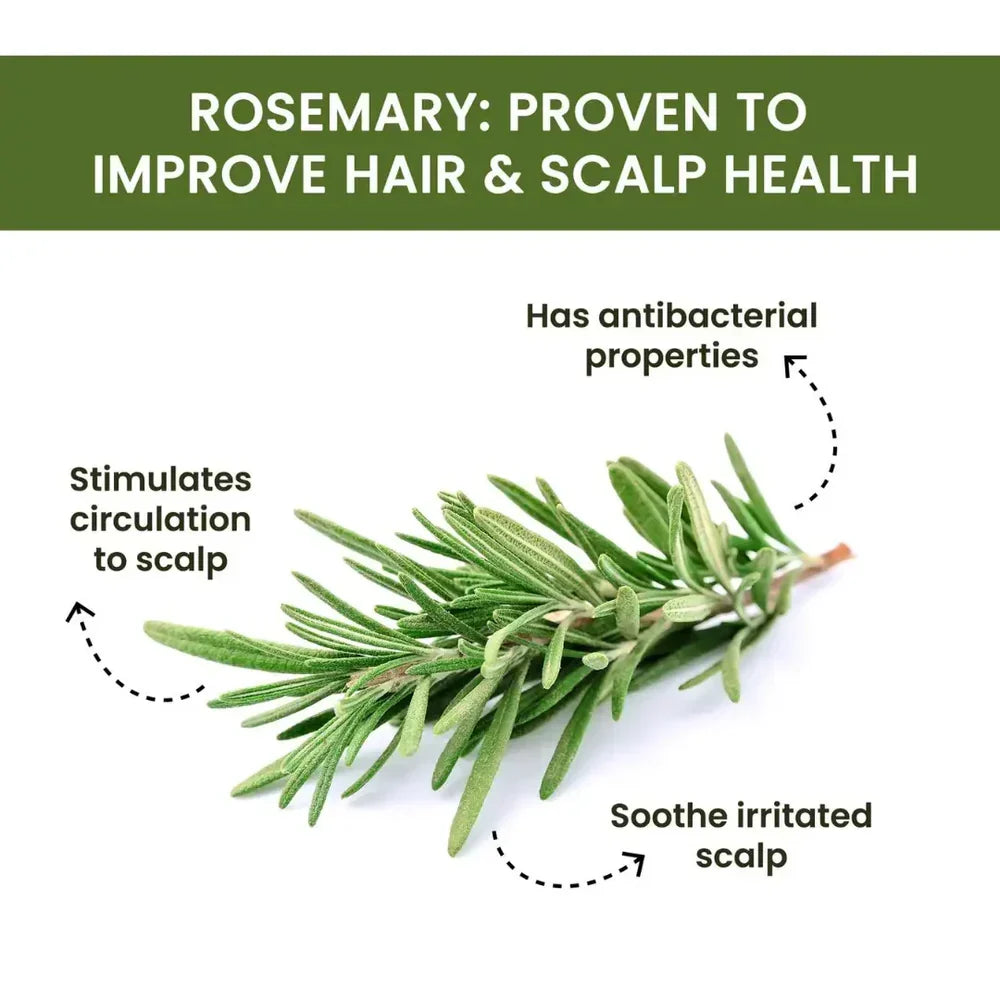 Rosemary Water Spray | For Hair Regrowth (Buy 1 Get 2 Free )