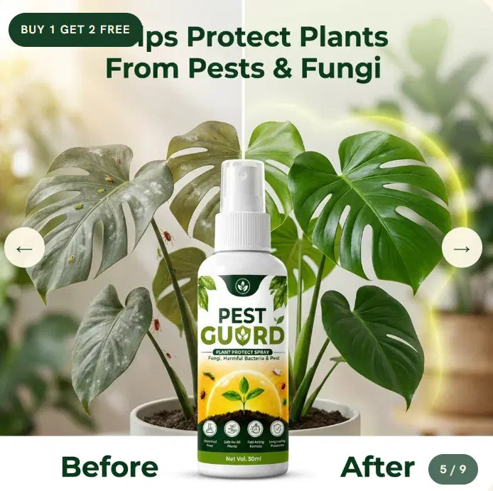 Pest Guard Plant Protect Spray – 50ml | Plant Pest & Fungal Protection | Buy 1 Get 2 Free