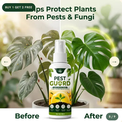 Pest Guard Plant Protect Spray – 50ml | Plant Pest & Fungal Protection | Buy 1 Get 2 Free