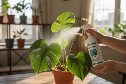 Pest Guard Plant Protect Spray in use on plants
